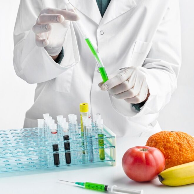 Ministry of National Food Security & Research Jobs 2022